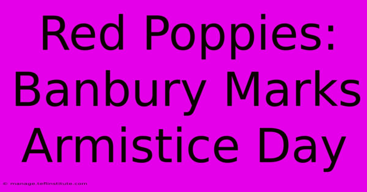 Red Poppies: Banbury Marks Armistice Day