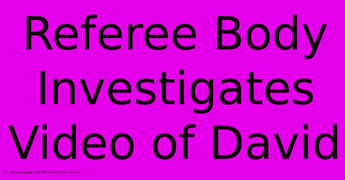 Referee Body Investigates Video Of David