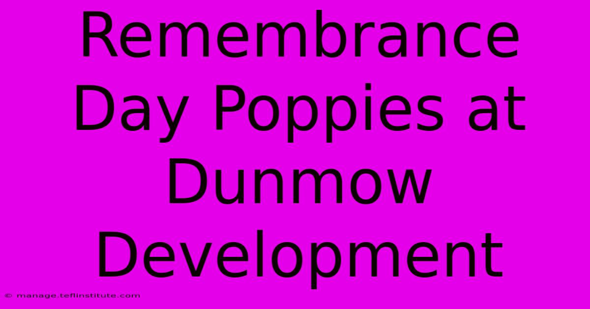 Remembrance Day Poppies At Dunmow Development