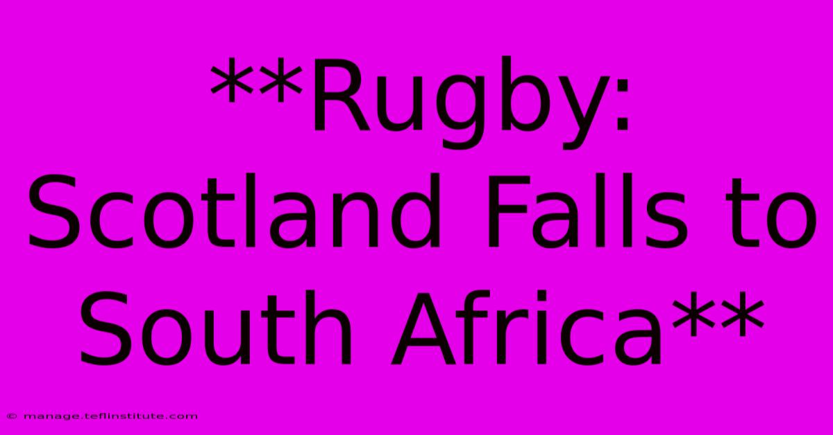 **Rugby: Scotland Falls To South Africa**