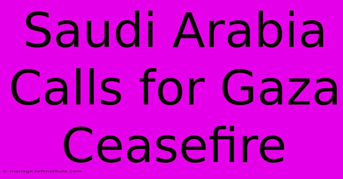 Saudi Arabia Calls For Gaza Ceasefire