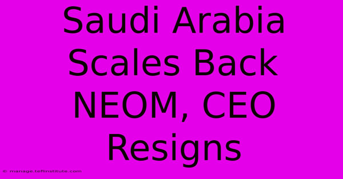 Saudi Arabia Scales Back NEOM, CEO Resigns