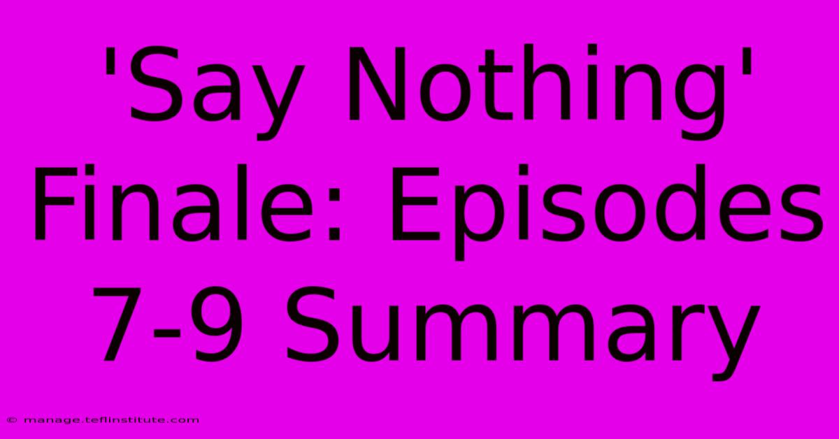 'Say Nothing' Finale: Episodes 7-9 Summary 