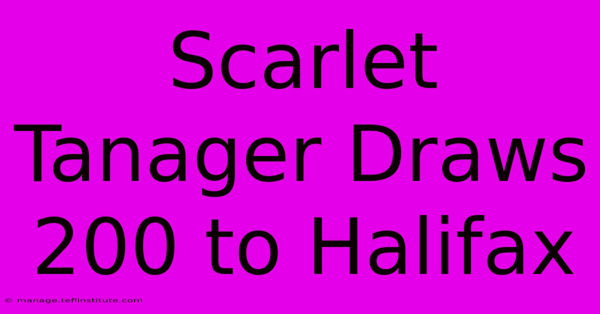 Scarlet Tanager Draws 200 To Halifax