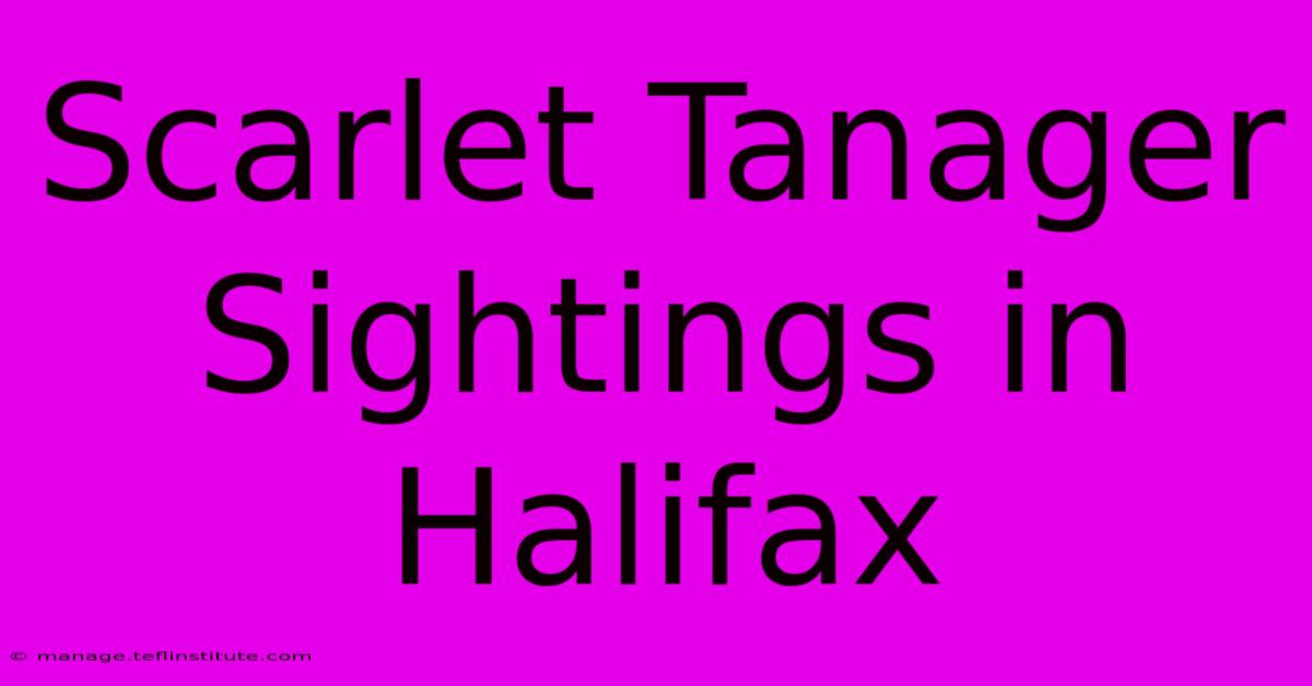 Scarlet Tanager Sightings In Halifax