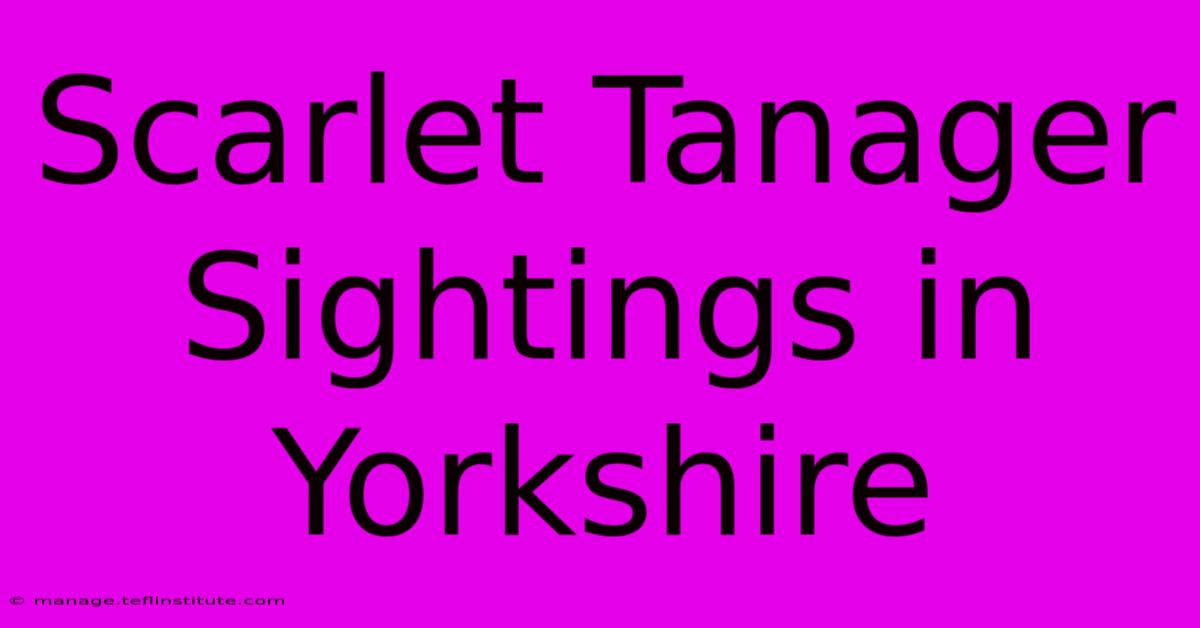 Scarlet Tanager Sightings In Yorkshire 