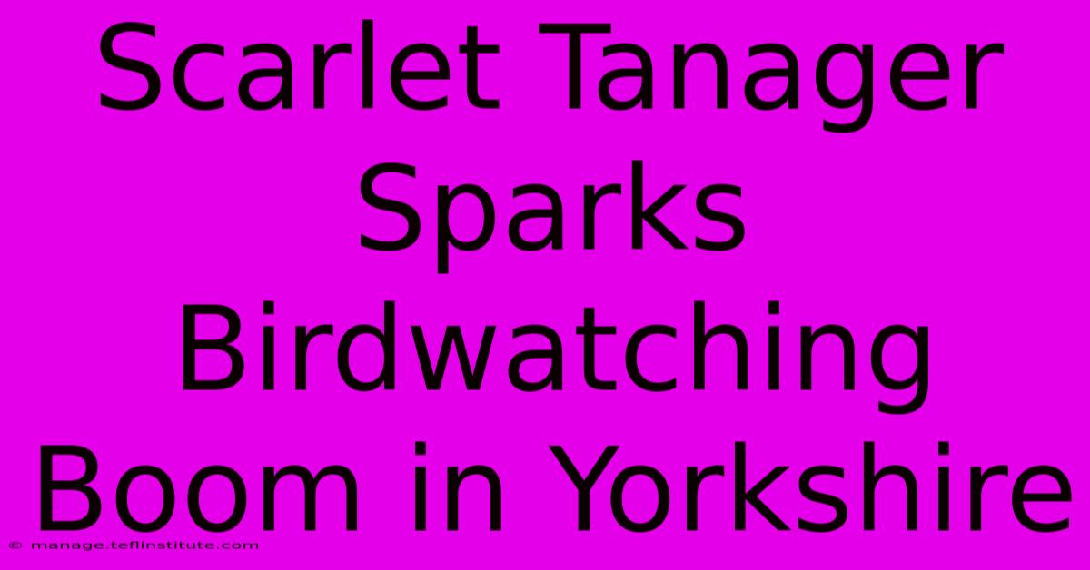 Scarlet Tanager Sparks Birdwatching Boom In Yorkshire