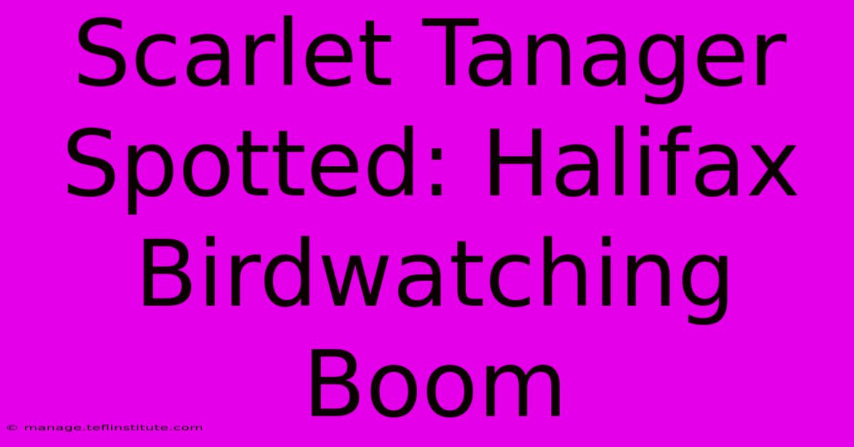 Scarlet Tanager Spotted: Halifax Birdwatching Boom