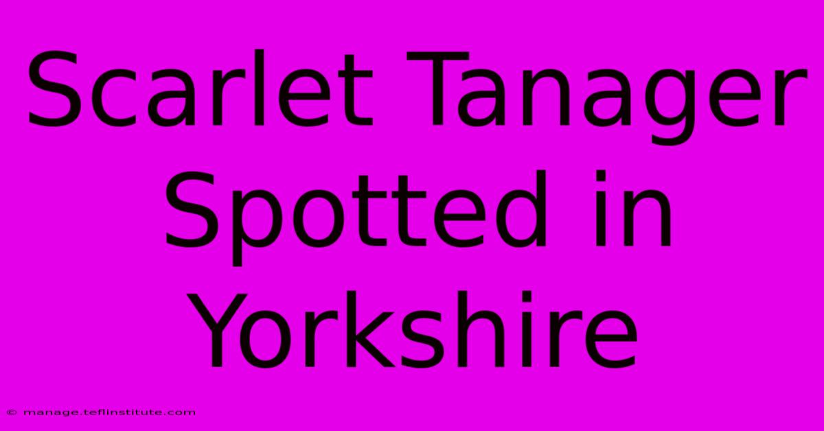 Scarlet Tanager Spotted In Yorkshire