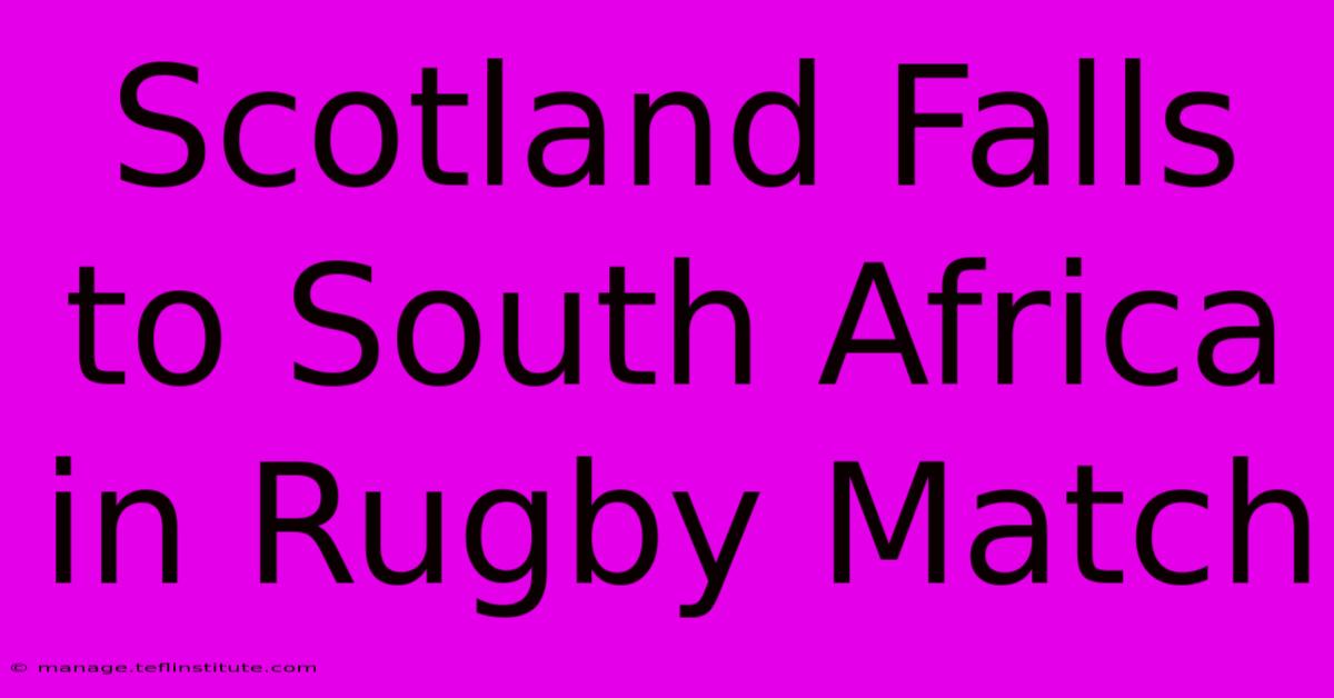 Scotland Falls To South Africa In Rugby Match