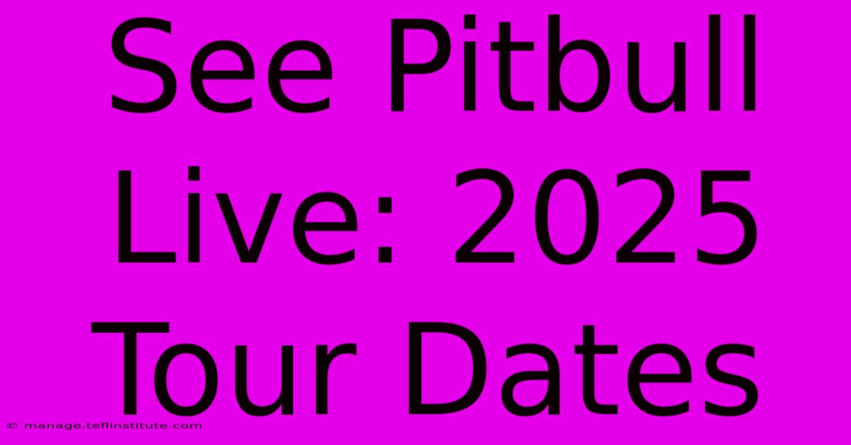 See Pitbull Live: 2025 Tour Dates 