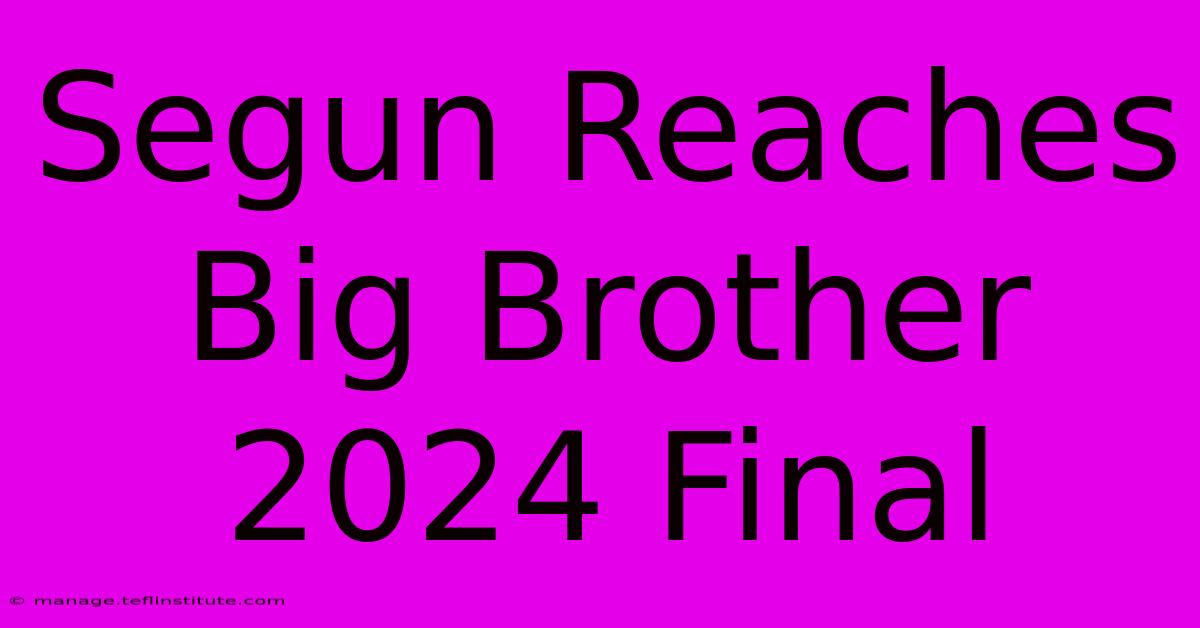 Segun Reaches Big Brother 2024 Final