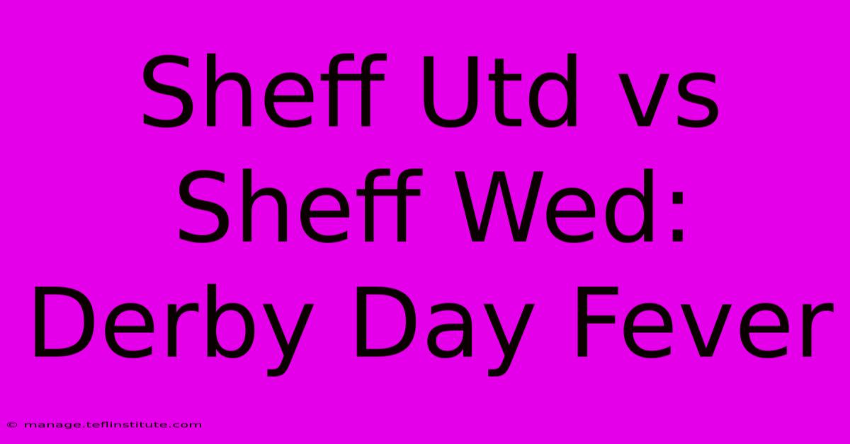 Sheff Utd Vs Sheff Wed: Derby Day Fever