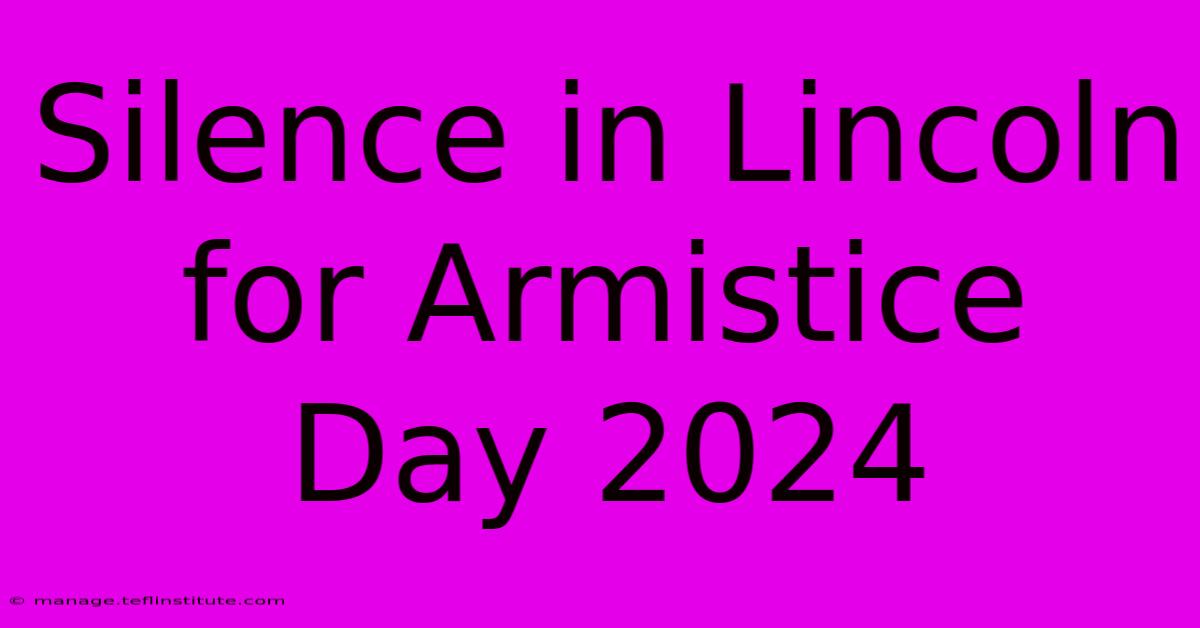 Silence In Lincoln For Armistice Day 2024