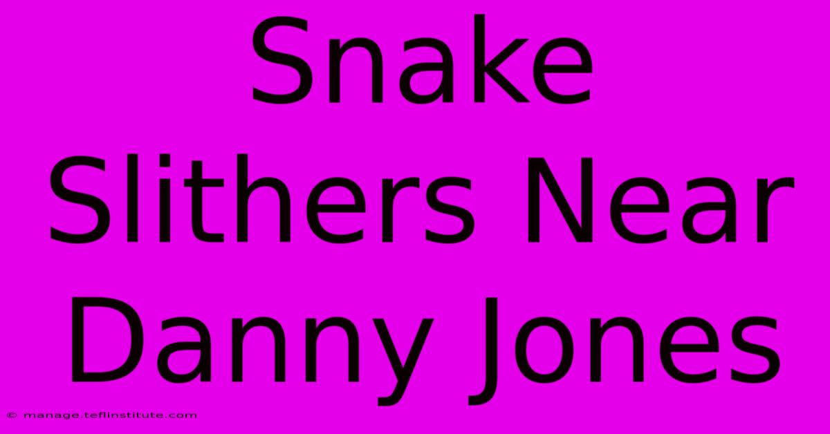 Snake Slithers Near Danny Jones