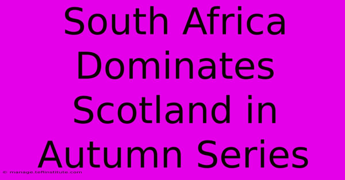 South Africa Dominates Scotland In Autumn Series