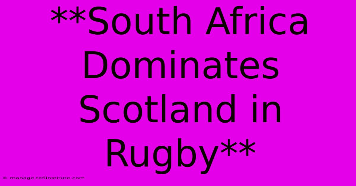 **South Africa Dominates Scotland In Rugby**