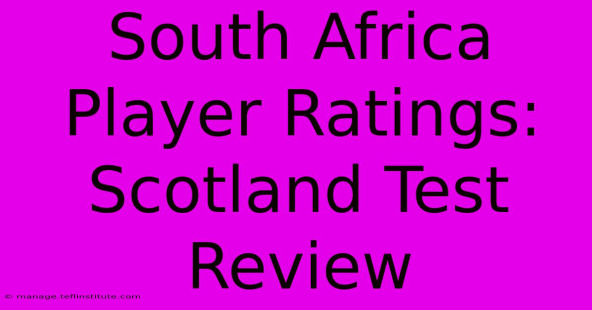 South Africa Player Ratings: Scotland Test Review