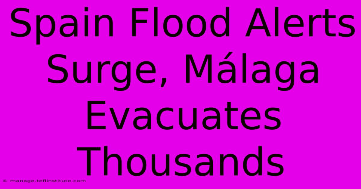 Spain Flood Alerts Surge, Málaga Evacuates Thousands