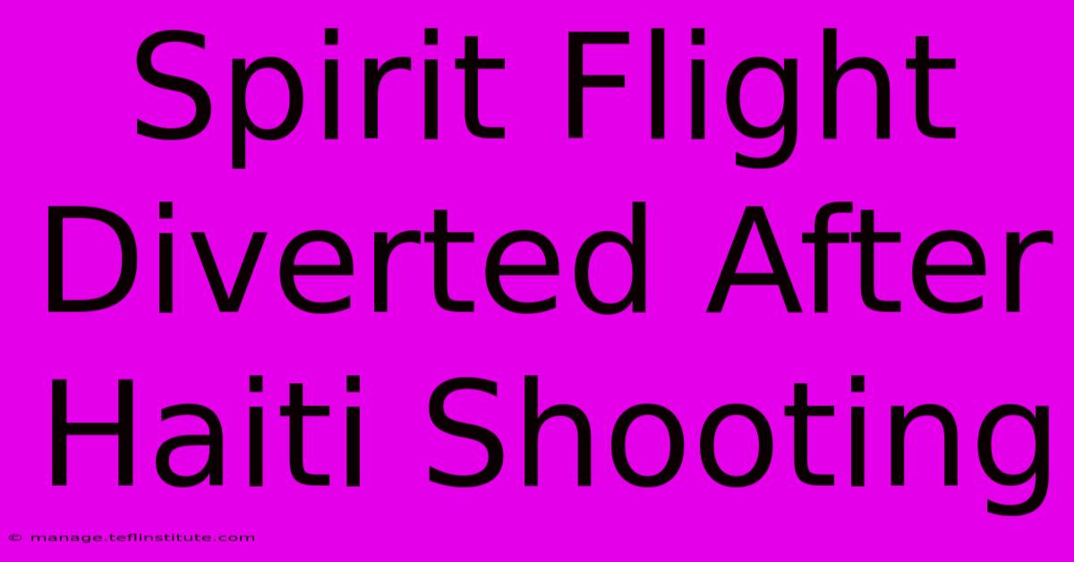 Spirit Flight Diverted After Haiti Shooting