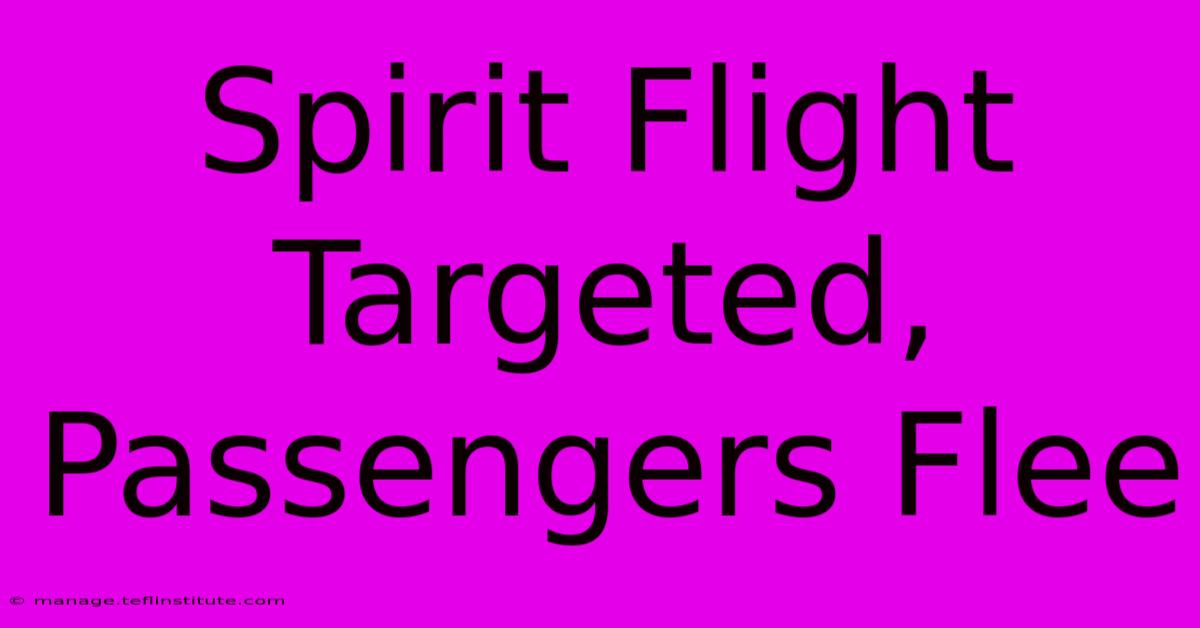 Spirit Flight Targeted, Passengers Flee