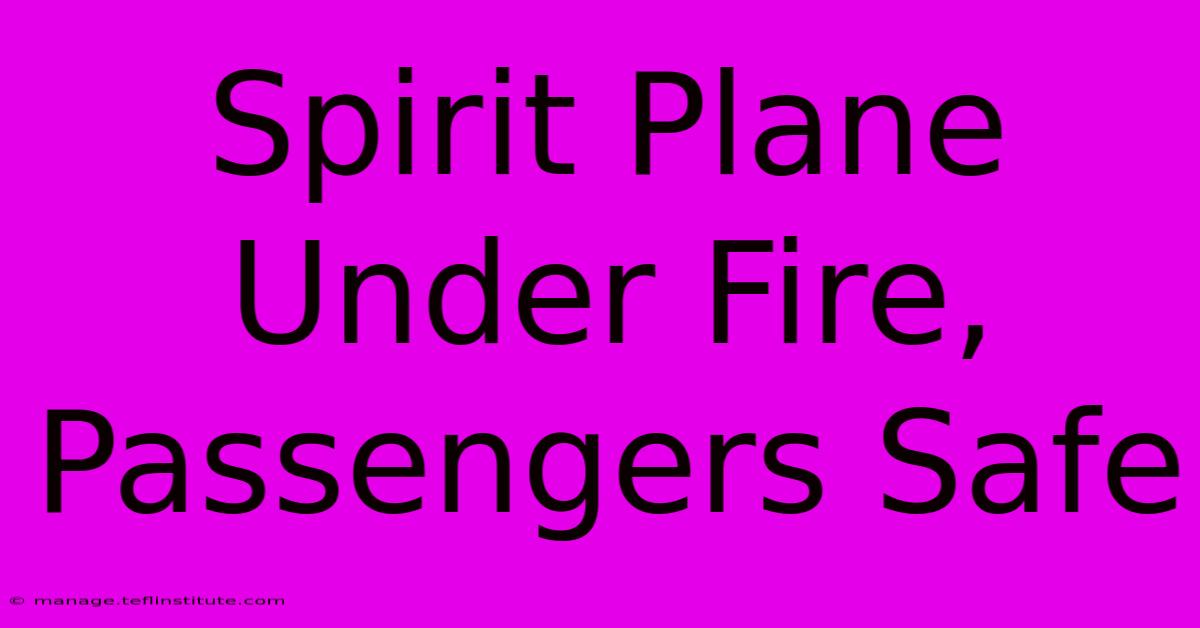 Spirit Plane Under Fire, Passengers Safe