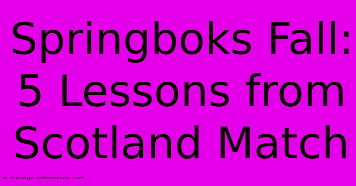 Springboks Fall: 5 Lessons From Scotland Match 