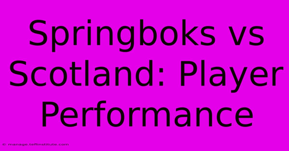 Springboks Vs Scotland: Player Performance