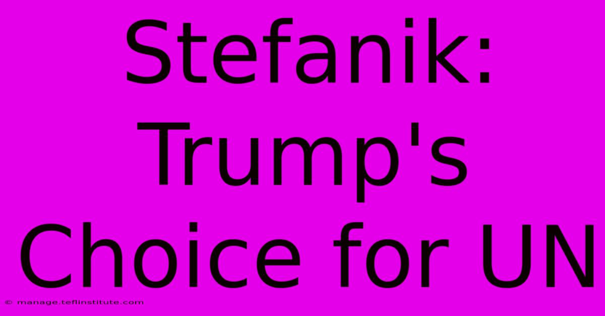 Stefanik: Trump's Choice For UN