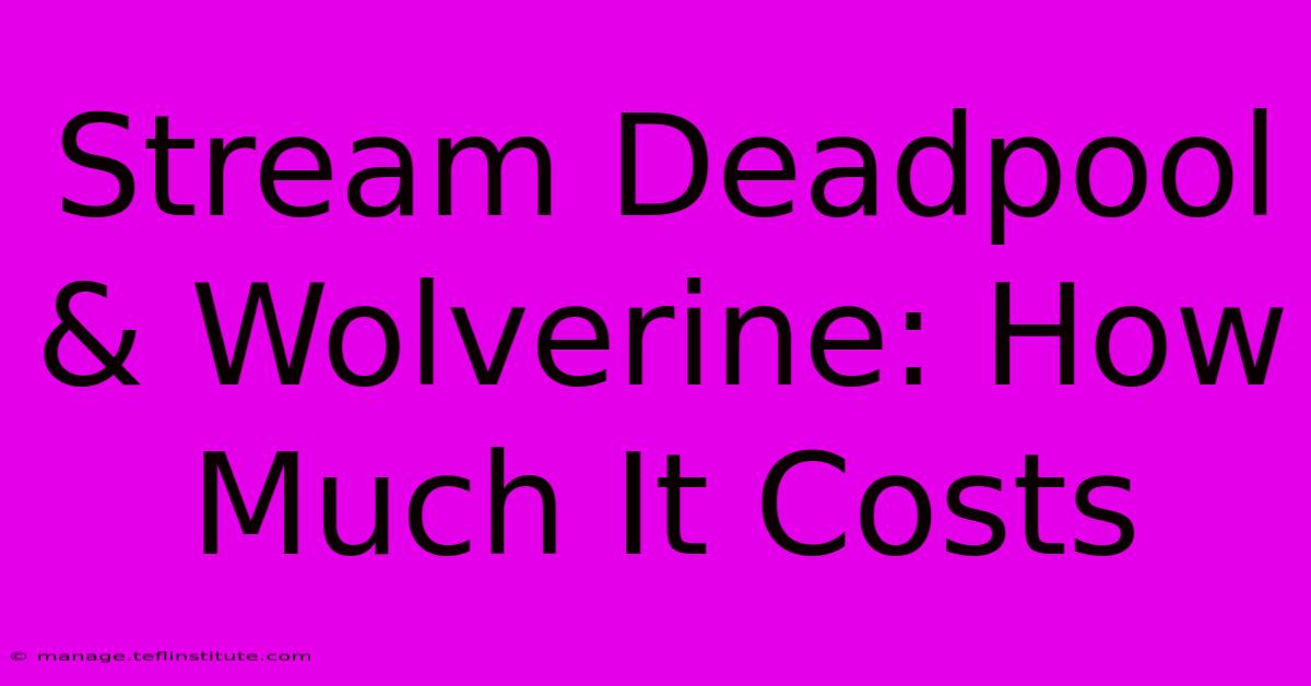 Stream Deadpool & Wolverine: How Much It Costs