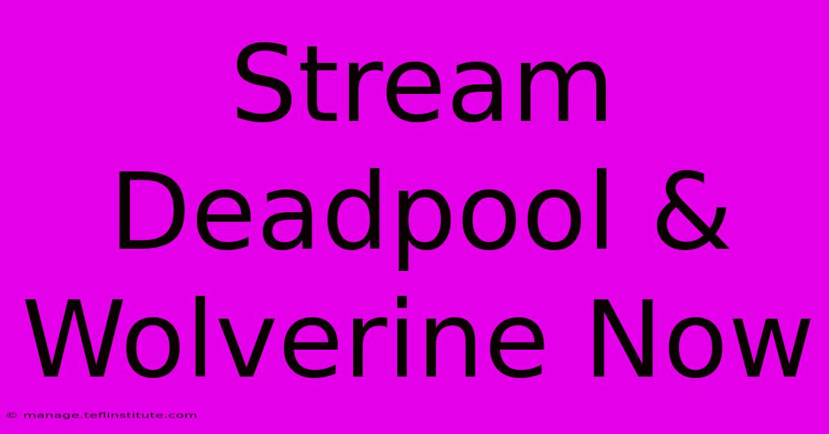 Stream Deadpool & Wolverine Now