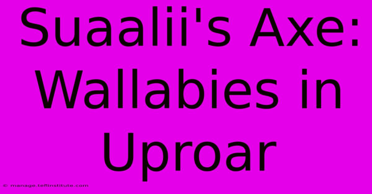 Suaalii's Axe: Wallabies In Uproar