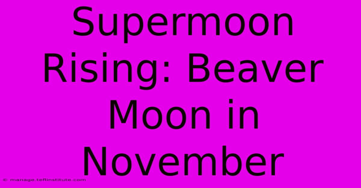 Supermoon Rising: Beaver Moon In November