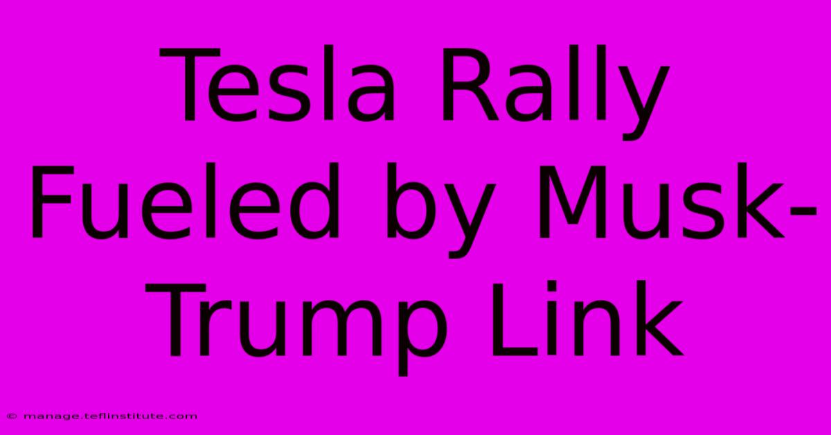 Tesla Rally Fueled By Musk-Trump Link