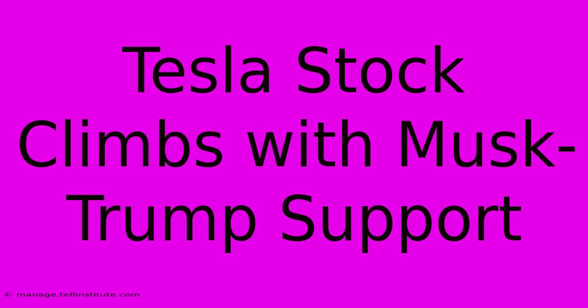 Tesla Stock Climbs With Musk-Trump Support