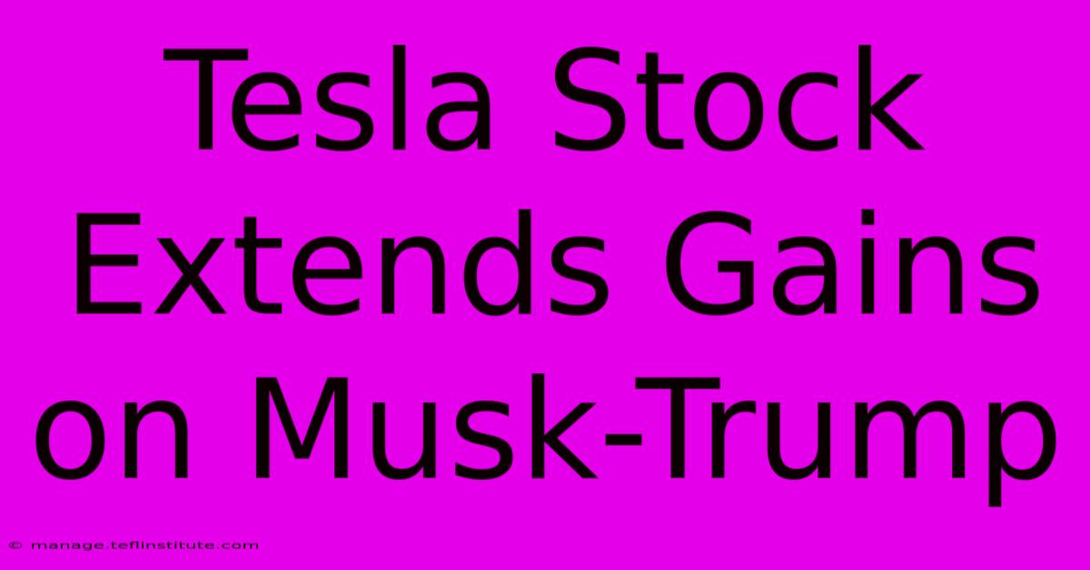 Tesla Stock Extends Gains On Musk-Trump 