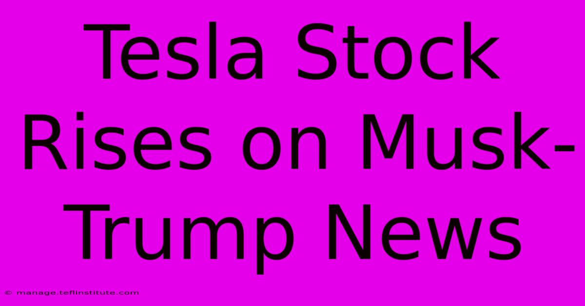 Tesla Stock Rises On Musk-Trump News