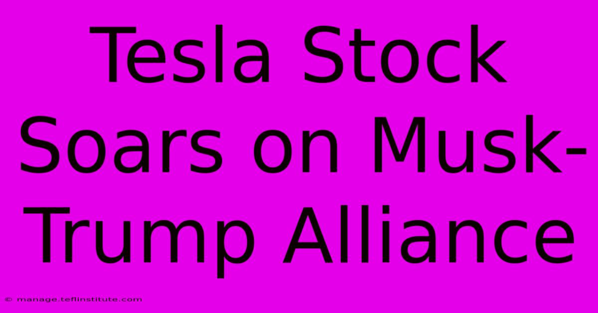 Tesla Stock Soars On Musk-Trump Alliance