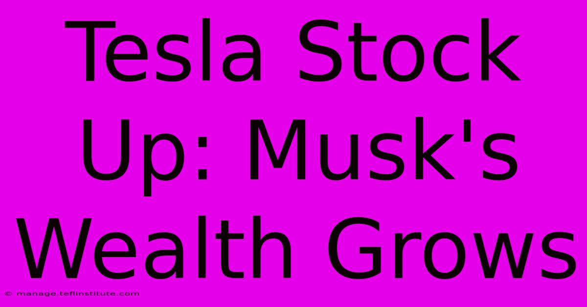 Tesla Stock Up: Musk's Wealth Grows 