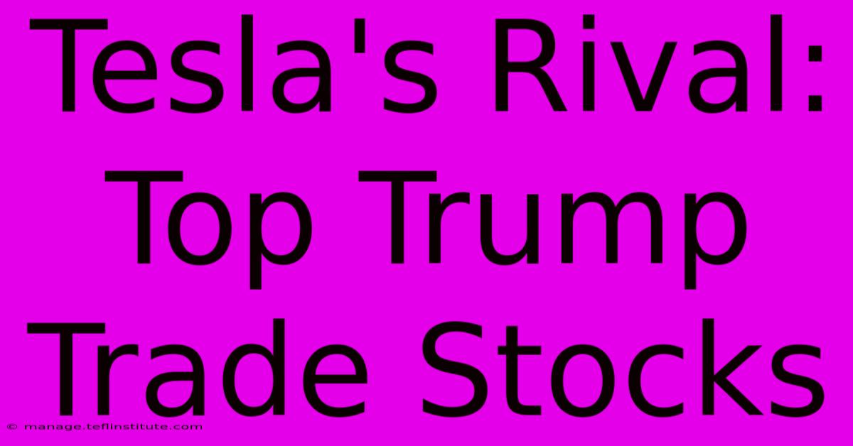 Tesla's Rival: Top Trump Trade Stocks