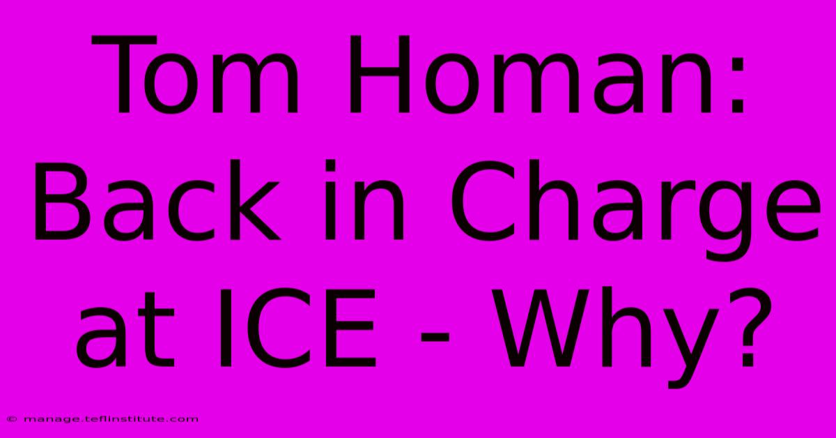 Tom Homan: Back In Charge At ICE - Why?