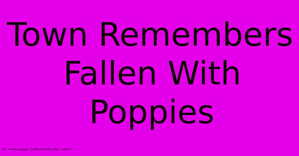 Town Remembers Fallen With Poppies