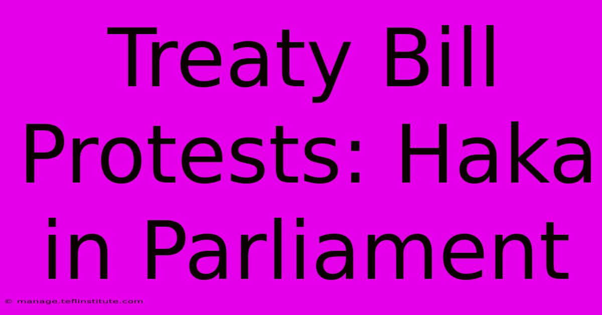 Treaty Bill Protests: Haka In Parliament 