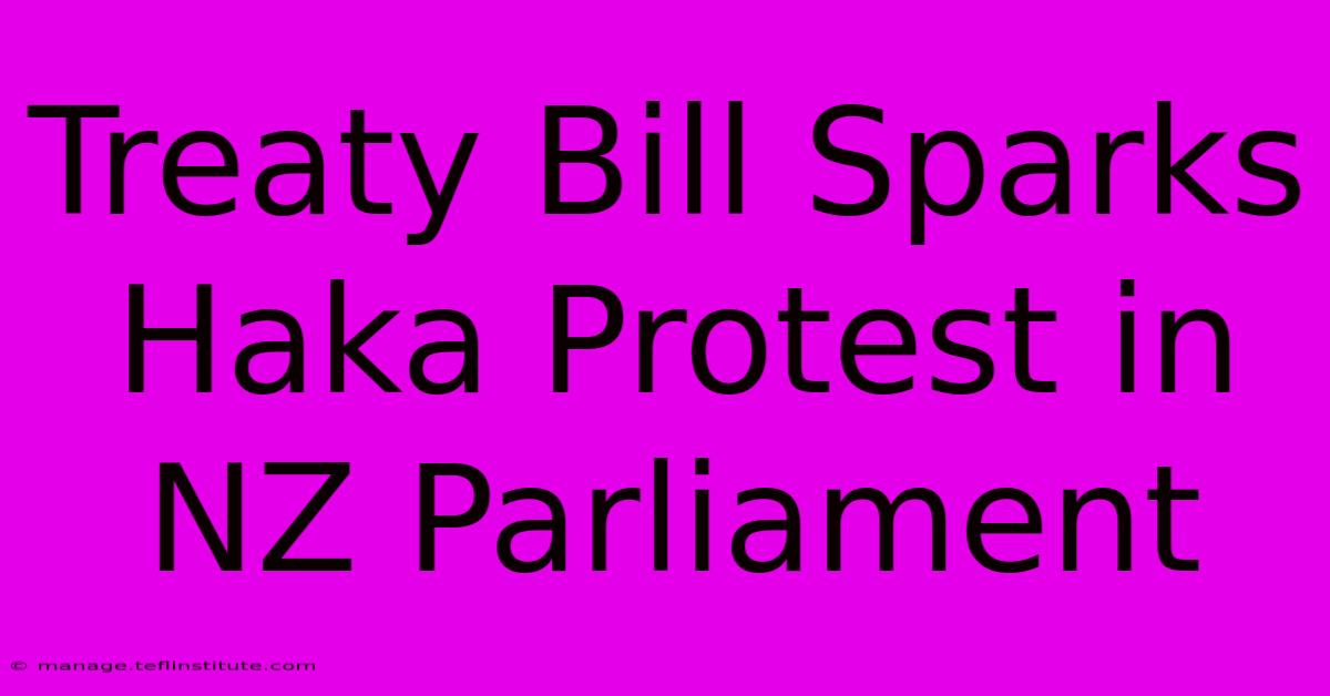 Treaty Bill Sparks Haka Protest In NZ Parliament