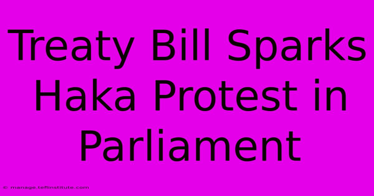 Treaty Bill Sparks Haka Protest In Parliament