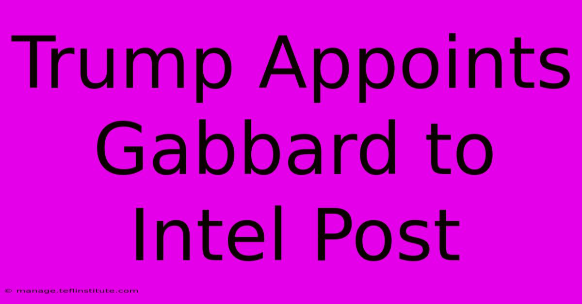 Trump Appoints Gabbard To Intel Post