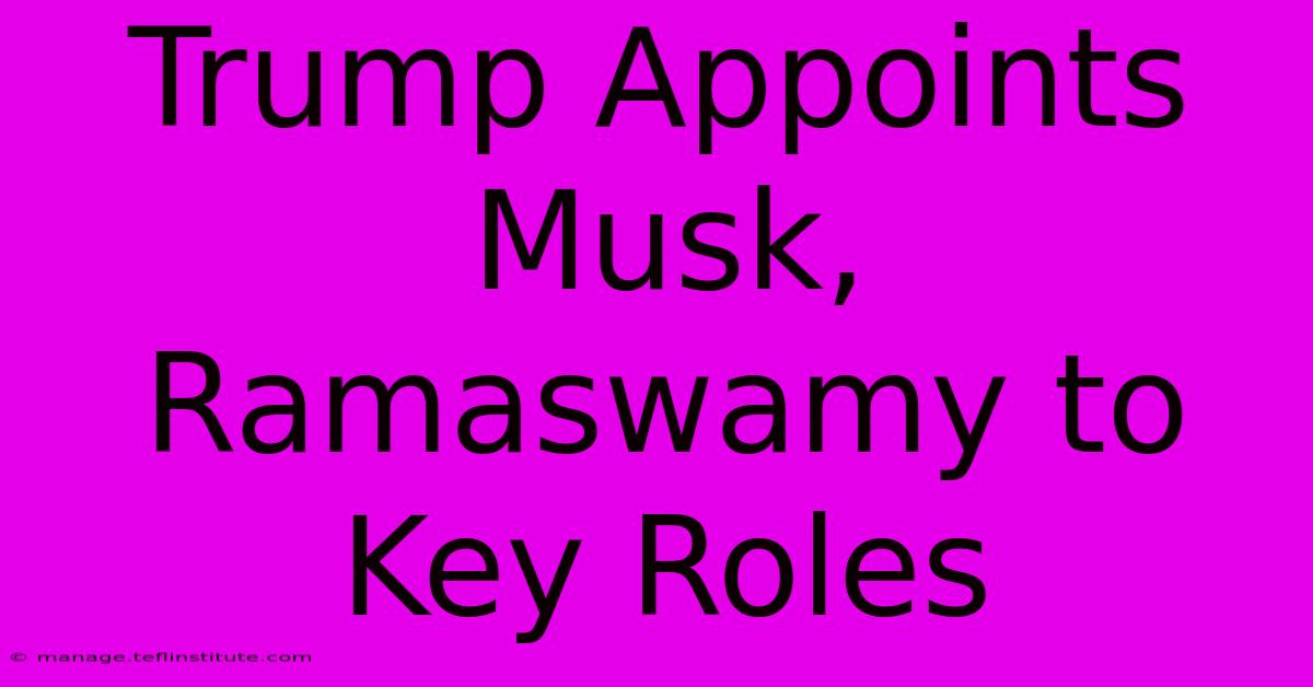 Trump Appoints Musk, Ramaswamy To Key Roles