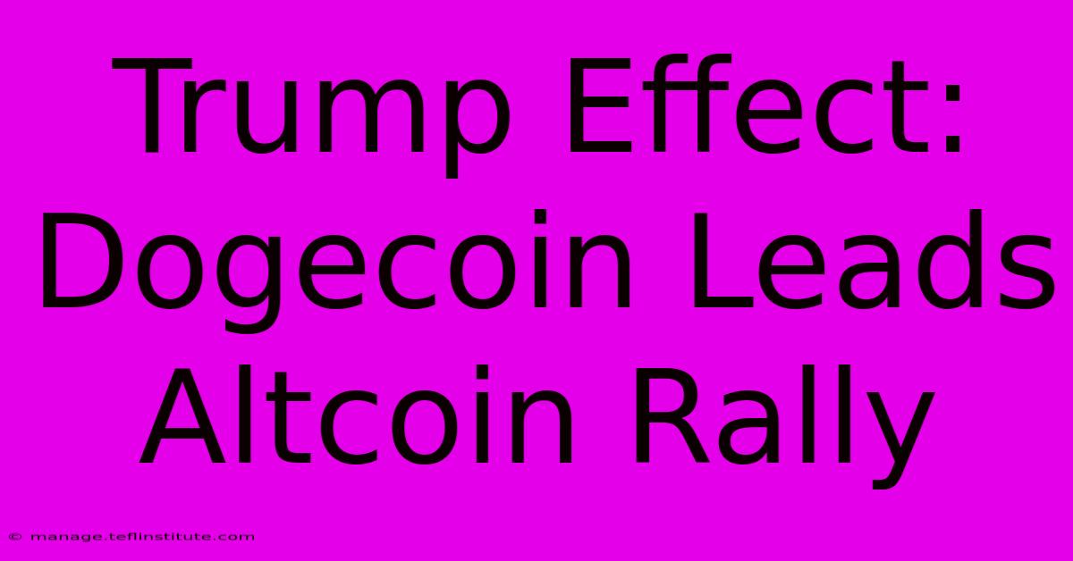 Trump Effect: Dogecoin Leads Altcoin Rally