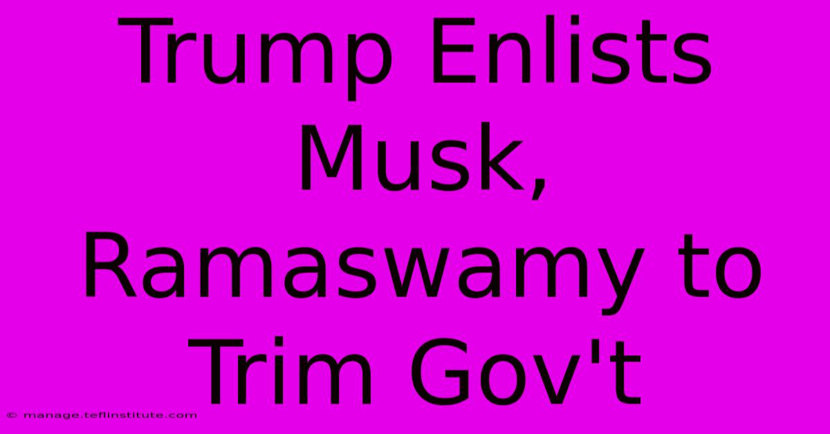 Trump Enlists Musk, Ramaswamy To Trim Gov't 