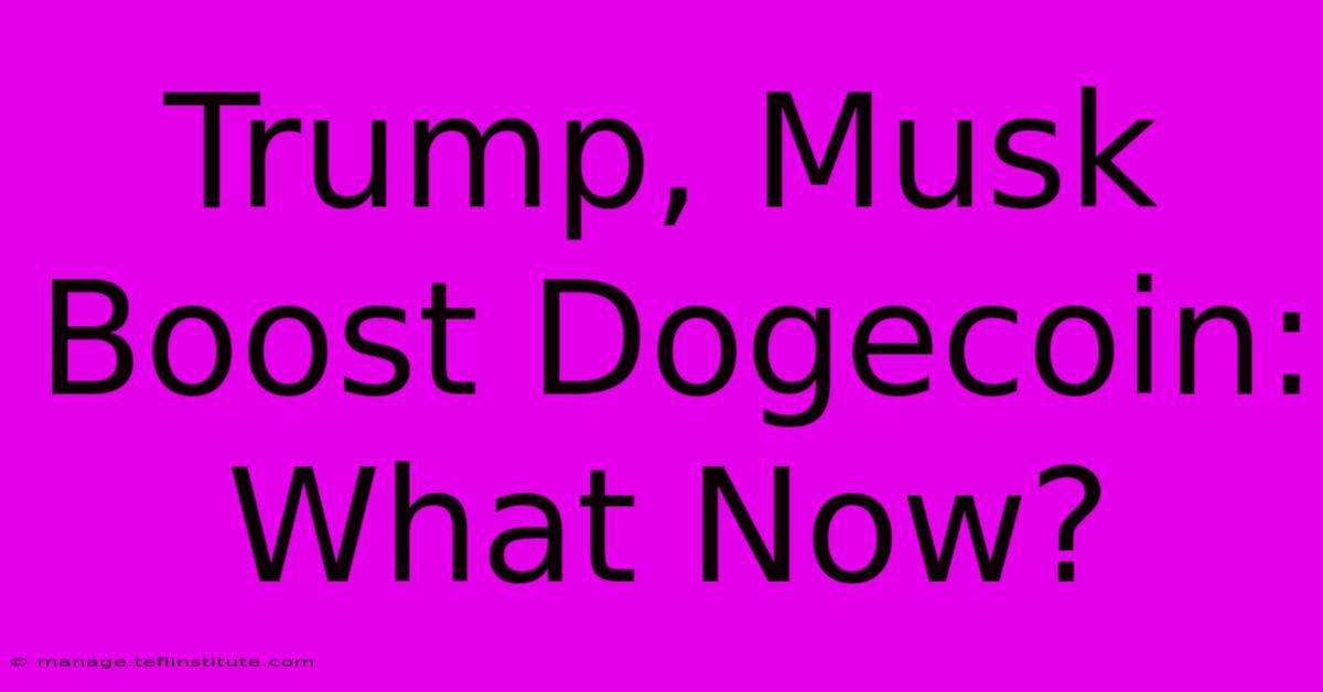 Trump, Musk Boost Dogecoin: What Now?